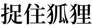 梦见捉住狐狸