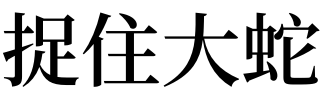 梦见捉住大蛇