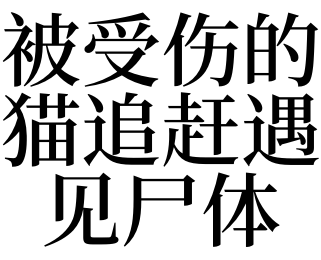 夢見被受傷的貓追趕遇見屍體_夢見被受傷的貓追趕遇見屍體是什麼意思