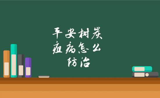 平安樹炭疽病怎麼防治